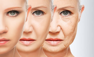 At what age do we stop producing collagen and which foods to consume to reverse it?